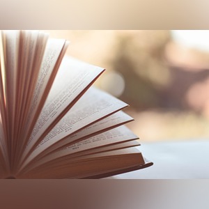[Read] PDF Schatten auf dem Pfad. Wie uns die Suche nach Erleuchtung hinters | Edition PDF